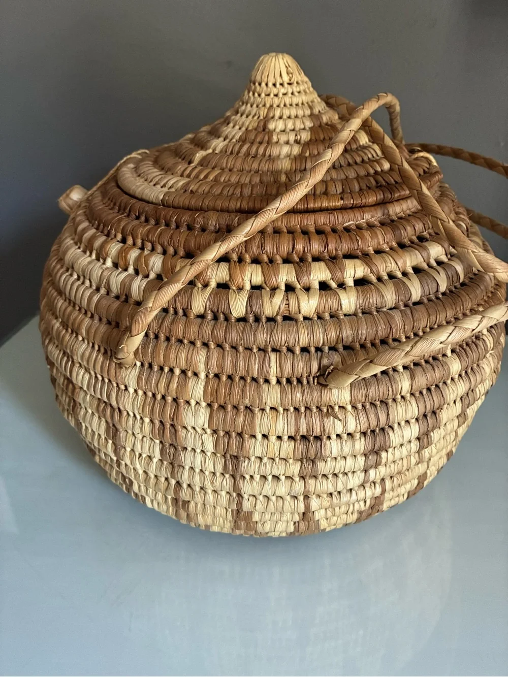 Handmade Lidded African Coiled Basket with Handles Natural Woven Storage Basket